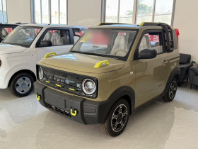 吉利银河 2025款 210km 熊猫骑士