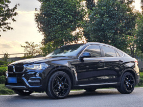 宝马X6 2015款 xDrive28i