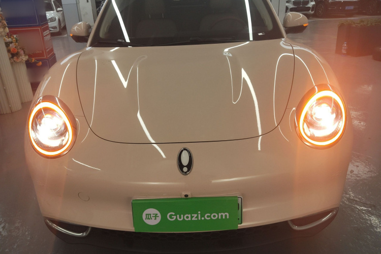 欧拉好猫 2023款 501km长续航 豪华型 三元锂车身外观2