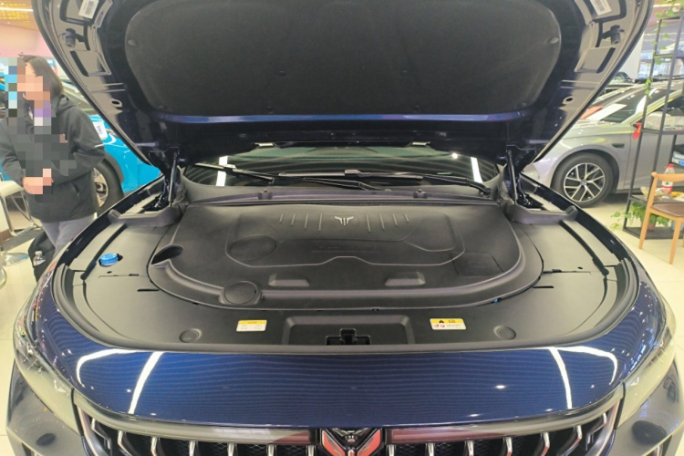 岚图汽车 岚图FREE 2021款 四驱标准增程专属豪华套装局部细节24