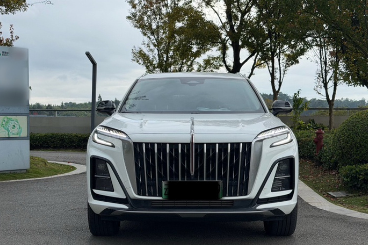 红旗HS3 PHEV 2024款 PHEV 115km 劲为版车身外观6001