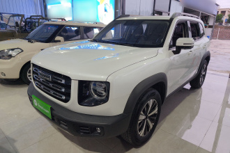 哈弗大狗 2022款 1.5T DCT两驱拉布拉多版