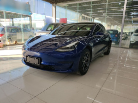 特斯拉 Model 3 2019款 标准续航后驱升级版