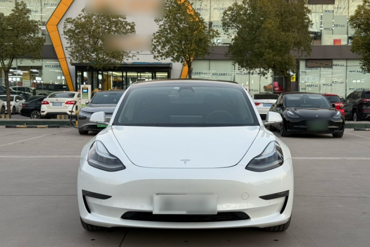 特斯拉 Model 3(进口) 2019款 长续航后驱版车身外观6002