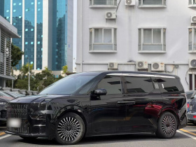 极氪009 2022款 WE版