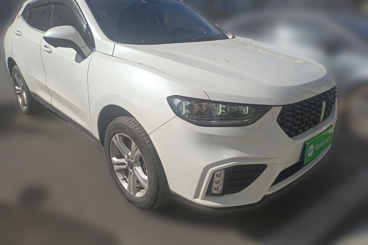 魏牌 VV5 2020款 1.5T 两驱颜先锋车身外观6002