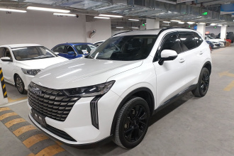 哈弗H6 2024款 2.0T 四驱Max