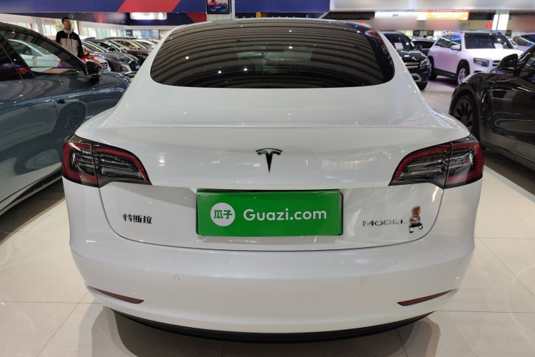 特斯拉 Model 3 2021款 标准续航后驱升级版 3D6车身外观6