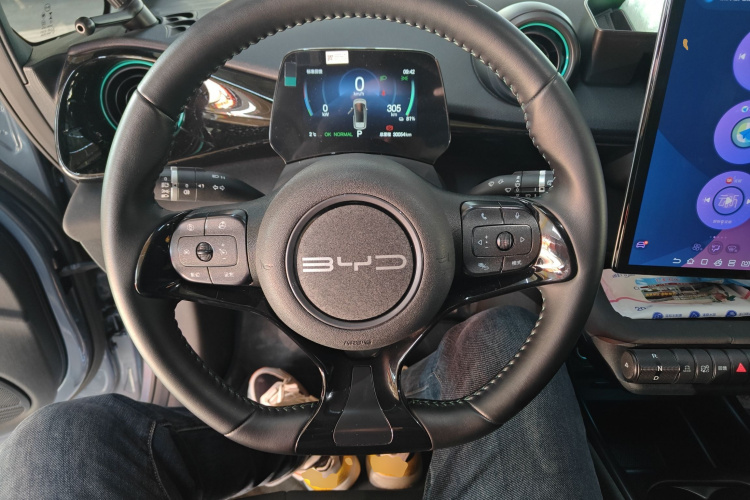 比亚迪 海豚 2024款 荣耀版 420km 自由版中控内饰13