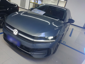 大众 迈腾 2024款  300TSI DSG尊享版显眼包