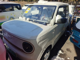 吉利银河 2024款 熊猫mini 200km 耐力熊