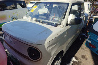 吉利银河 2024款 熊猫mini 200km 耐力熊