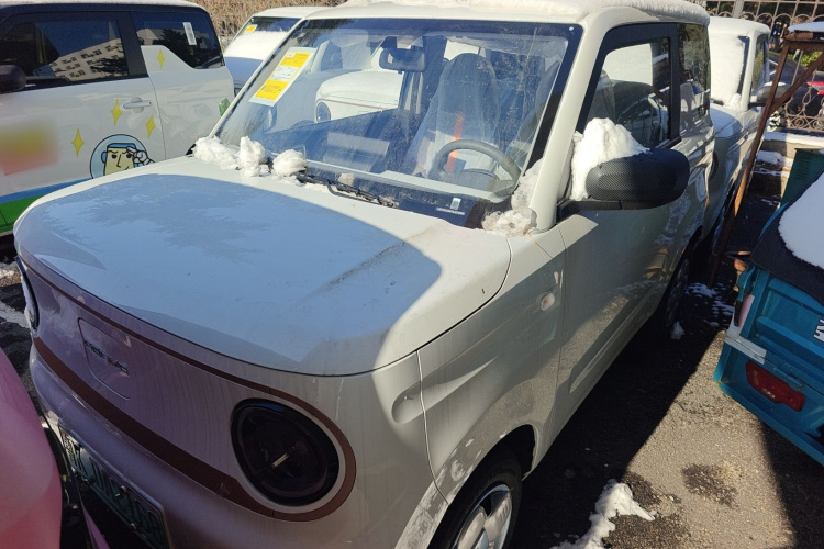 吉利银河 2024款 熊猫mini 200km 耐力熊车身外观1