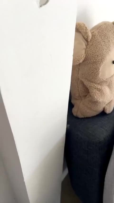 长安欧尚 奔奔E-Star 2020款 心悦版 磷酸铁锂（31.18kWh）讲解2