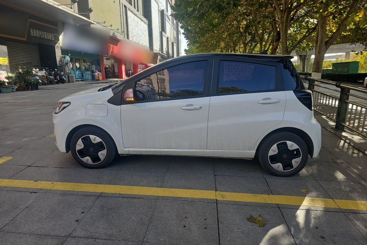 思皓 2022款 花仙子款 四叶草车身外观6003