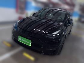 特斯拉 Model Y 2021款 长续航全轮驱动版