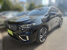 魏牌 VV5 2021款 1.5T 两驱智先锋