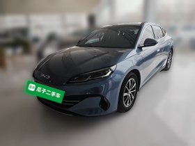 比亚迪 海豹06新能源 2024款 DM-i 120KM尊享型