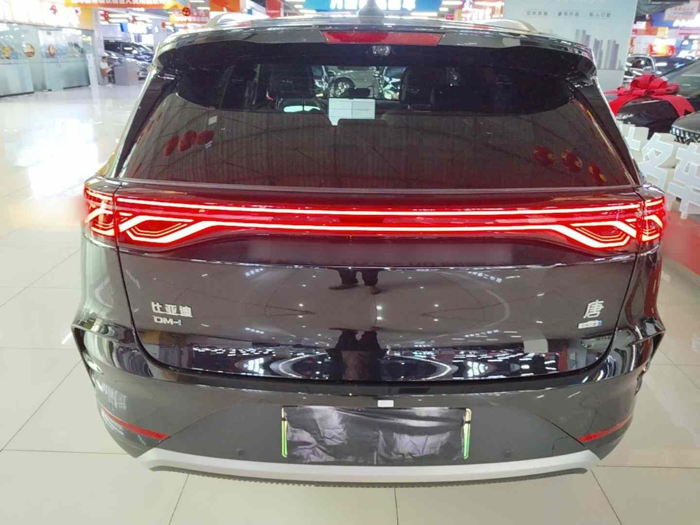 比亚迪 唐新能源 2025款 智驾版 DM-i 115KM 旗舰型(3)