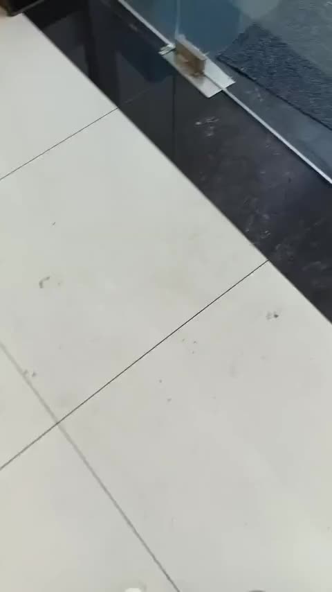 领克06 2023款 Remix 1.5T 劲Halo讲解2