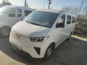 五菱汽车 五菱扬光 2024款 300km 舒适型客车版 60kW