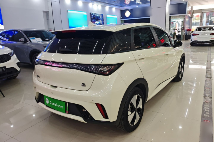 比亚迪 海豚 2023款 420km 时尚版车身外观6005