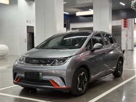 比亚迪 海豚 2021款 405km 时尚版