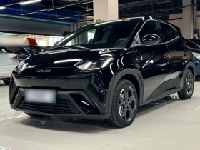 比亚迪 海鸥 2025款 405km 飞翔版