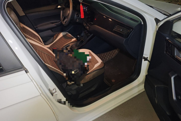 大众 朗逸 2023款 新锐 1.5L 自动新逸版局部细节9005