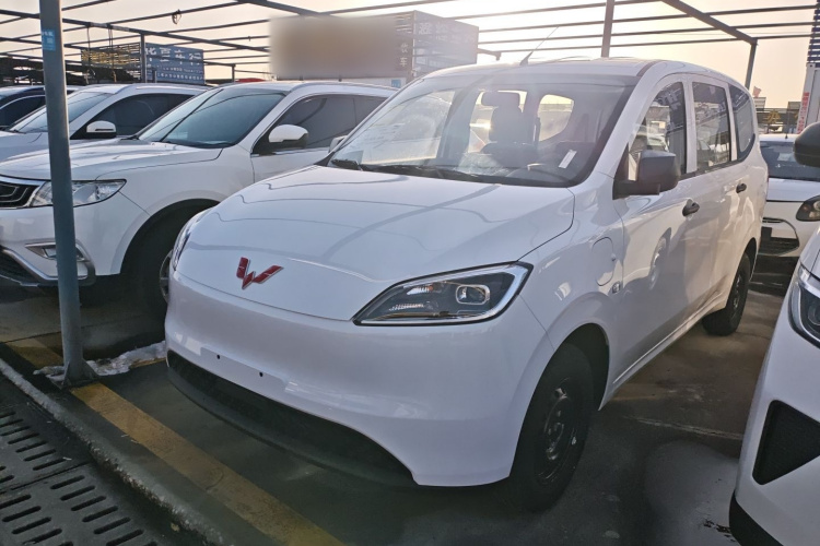 五菱汽车 五菱宏光新能源 2024款 纯电版 300KM 标准型车身外观6003