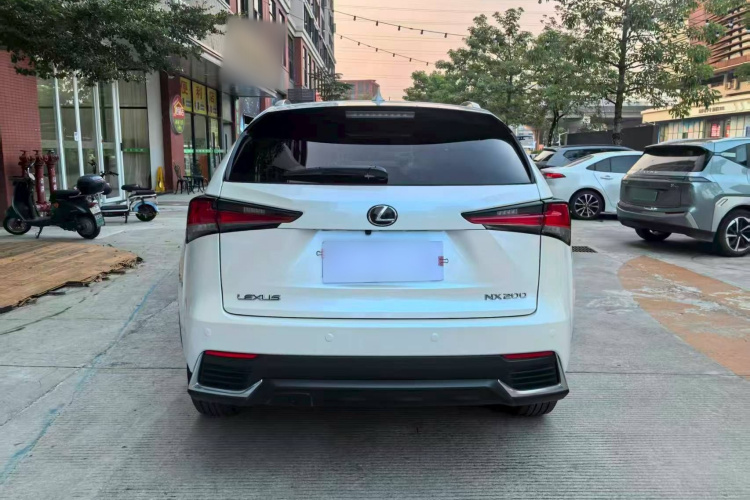 雷克萨斯NX 2020款 200 全驱 锋尚版 国VI车身外观6007