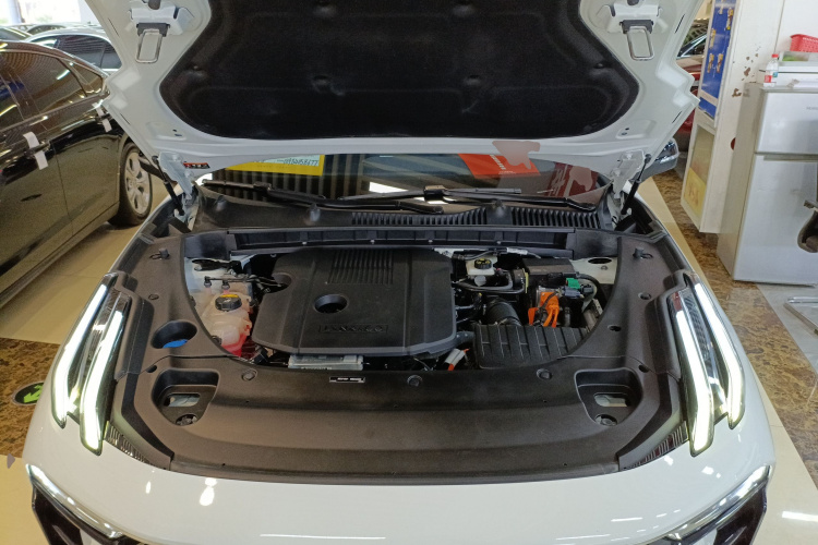 领克03 2023款 1.5T EM-F PM机舱底盘24