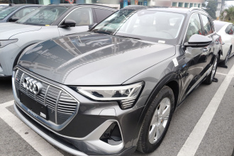 奥迪e-tron 2021款 50 quattro 豪华型