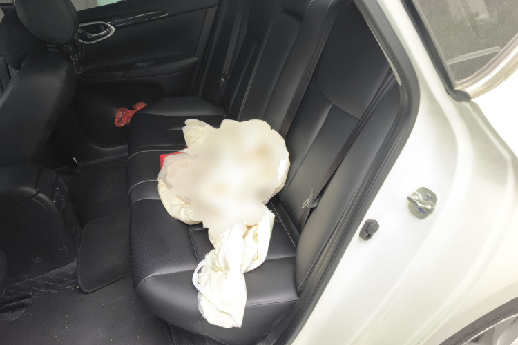 日产 轩逸 2024款 经典 1.6XL CVT豪华版中控内饰21