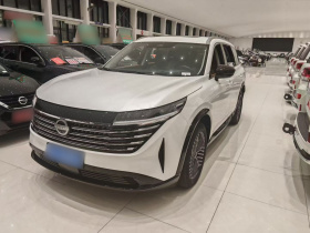 日产 探陆 2024款 380VC-TURBO 四驱智尊版 6座