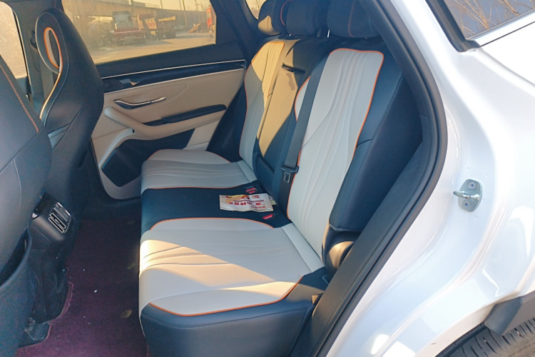 比亚迪 宋PLUS新能源 2021款 EV 尊贵型中控内饰21