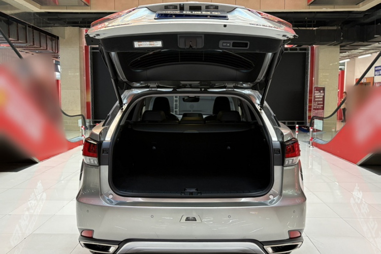 雷克萨斯RX 2020款 改款 300 四驱典雅版局部细节23