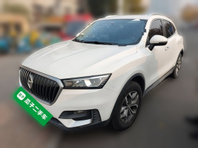 宝沃BX5 2020款 20TGDI 自动两驱先锋型
