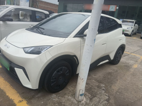 比亚迪 海鸥 2023款 活力版