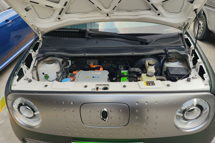 欧拉黑猫 2021款 301km 基础型机舱底盘24