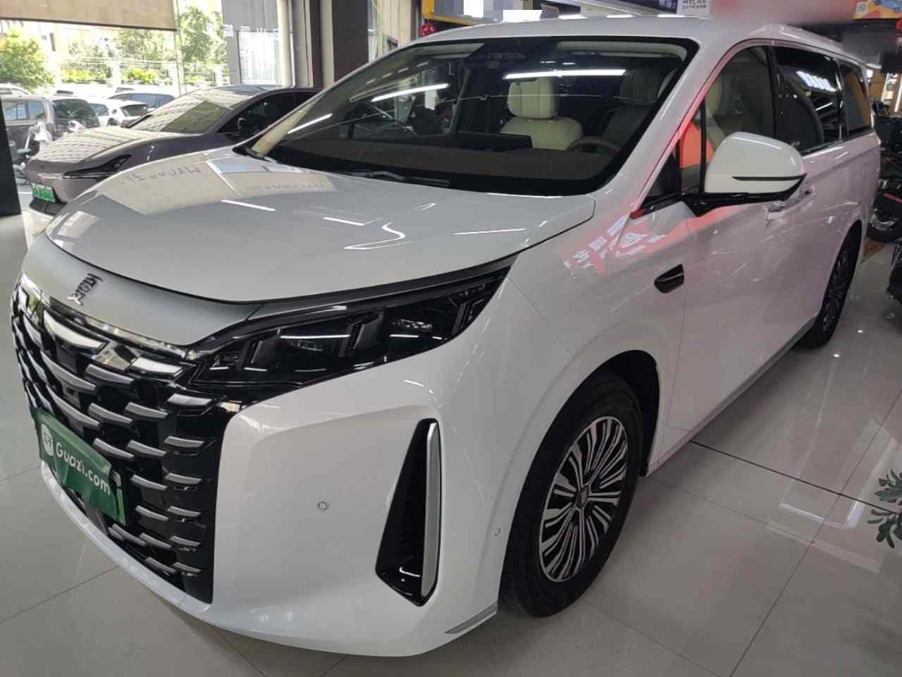 比亚迪 夏 2025款 DM-i 1.5T 100km 领先型(2)