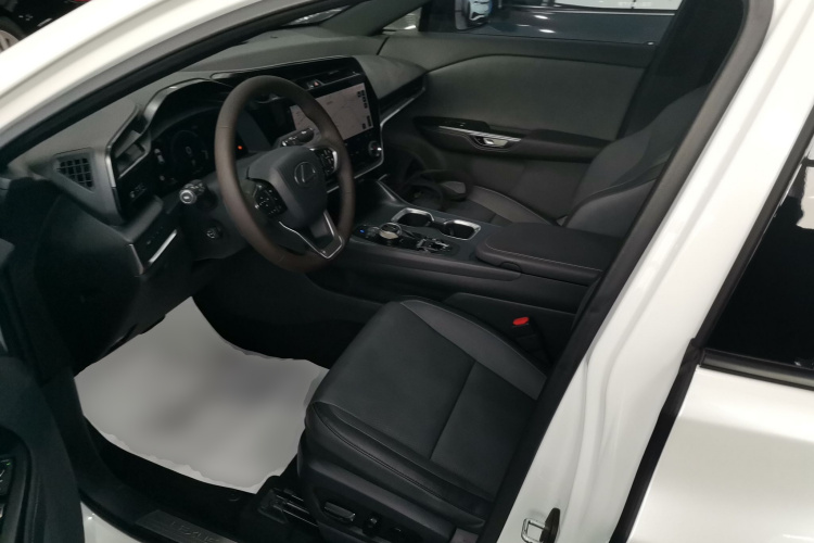雷克萨斯RZ 2023款 450e 四驱纵享版中控内饰19