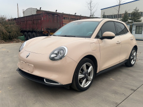 欧拉好猫 2023款 401km标准续航 豪华型 三元锂