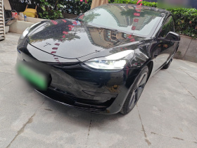 特斯拉 Model 3 2021款 标准续航后驱升级版