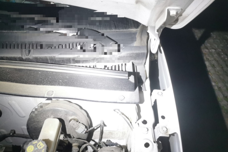 吉利银河 2023款 熊猫mini 200km 耐力熊局部细节9007