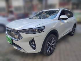 哈弗F7 2021款 1.5T 两驱i潮