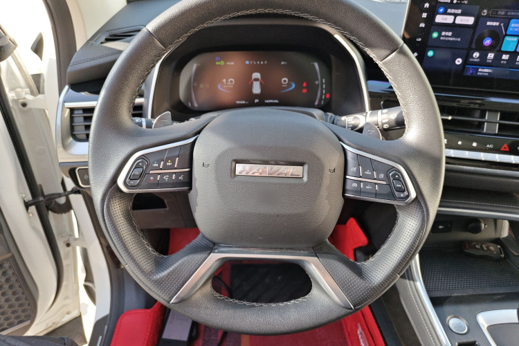 哈弗H6 2021款 国潮版 1.5T 自动冠军版局部细节13