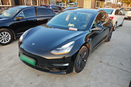 特斯拉 Model 3(进口) 2019款 长续航全轮驱动版