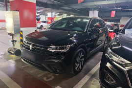 大众 途观L 2024款 300TSI 自动两驱智享版