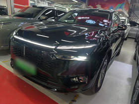 魏牌 摩卡新能源 2024款 Hi4 四驱长续航版